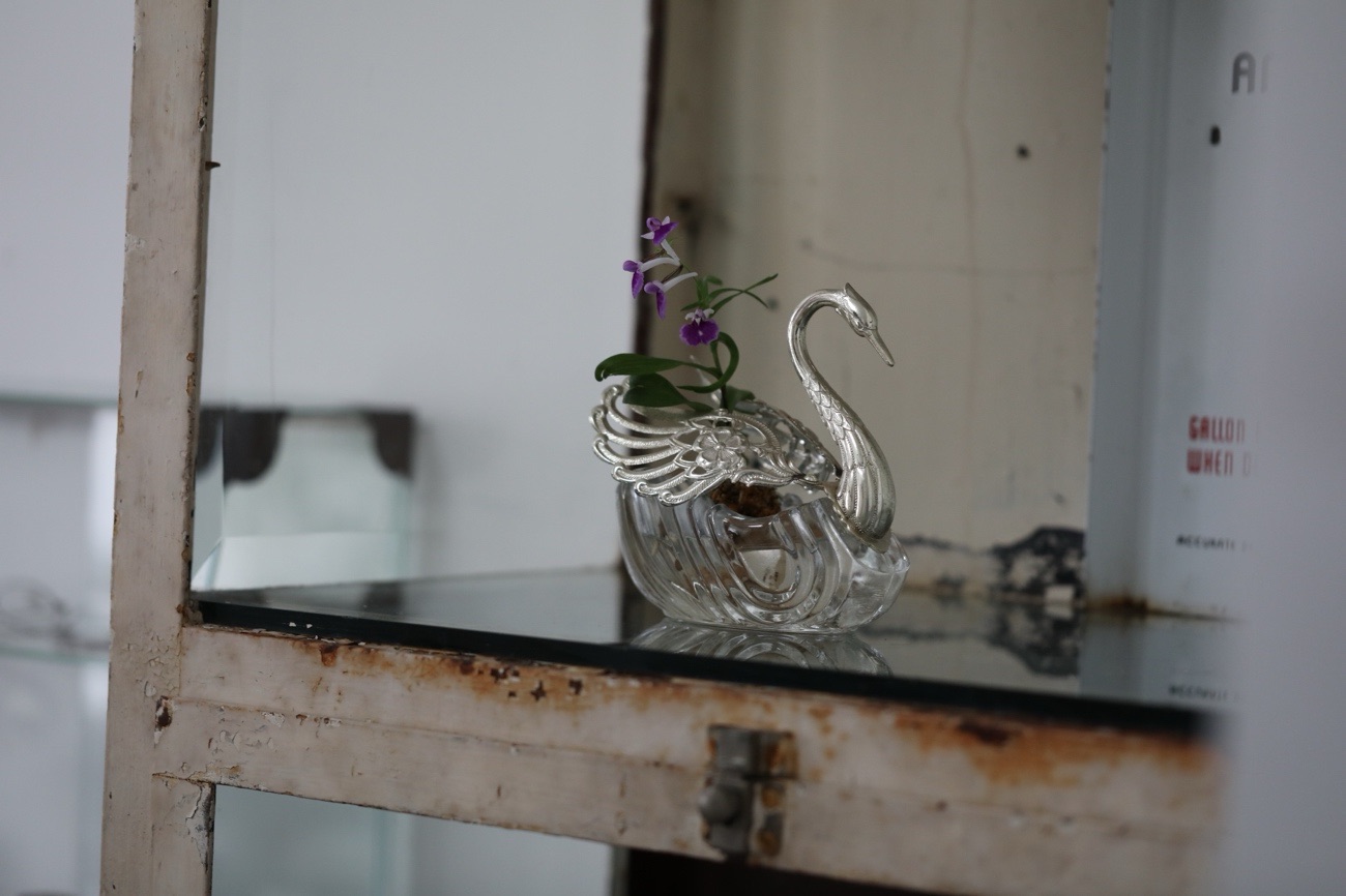 水さえ入れば花器となる！ – Atelier de MICCHÉ